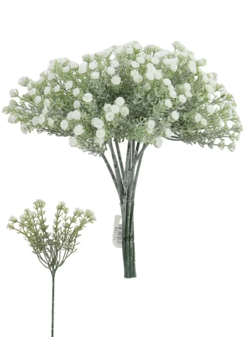 101729 Wild Gypsophila