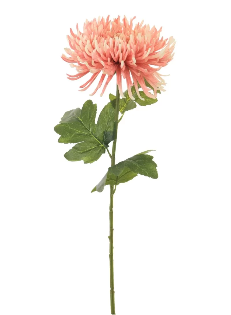 177711 Fuji Mum Stem - Colour Blush - Image 2